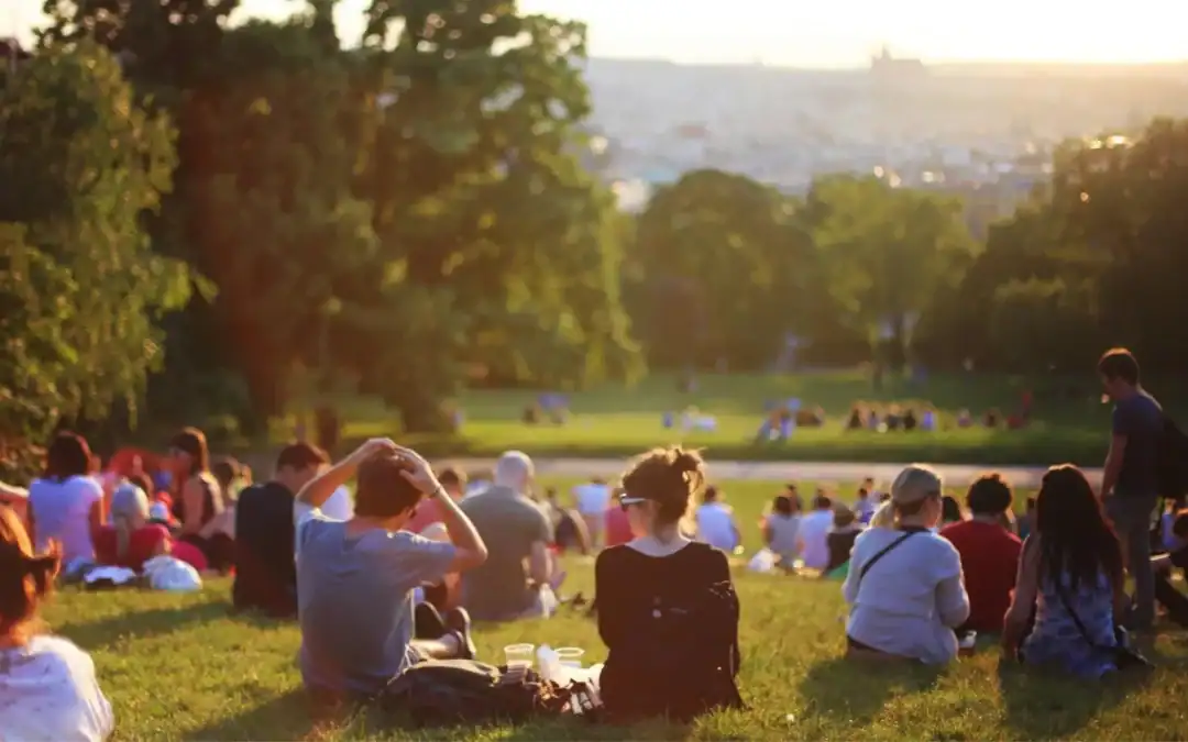 How Hearing Aid Algorithms Filter Speech in Crowds